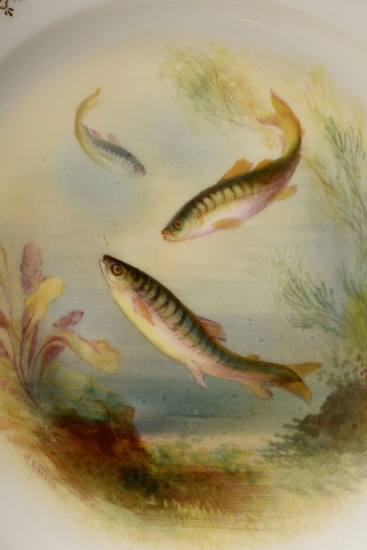 12 Englische Crescent & Sons Fischteller mit verschiedenen lupenfeinen Motiven: "Codfish, 2xTench,  - Bild 6 aus 8
