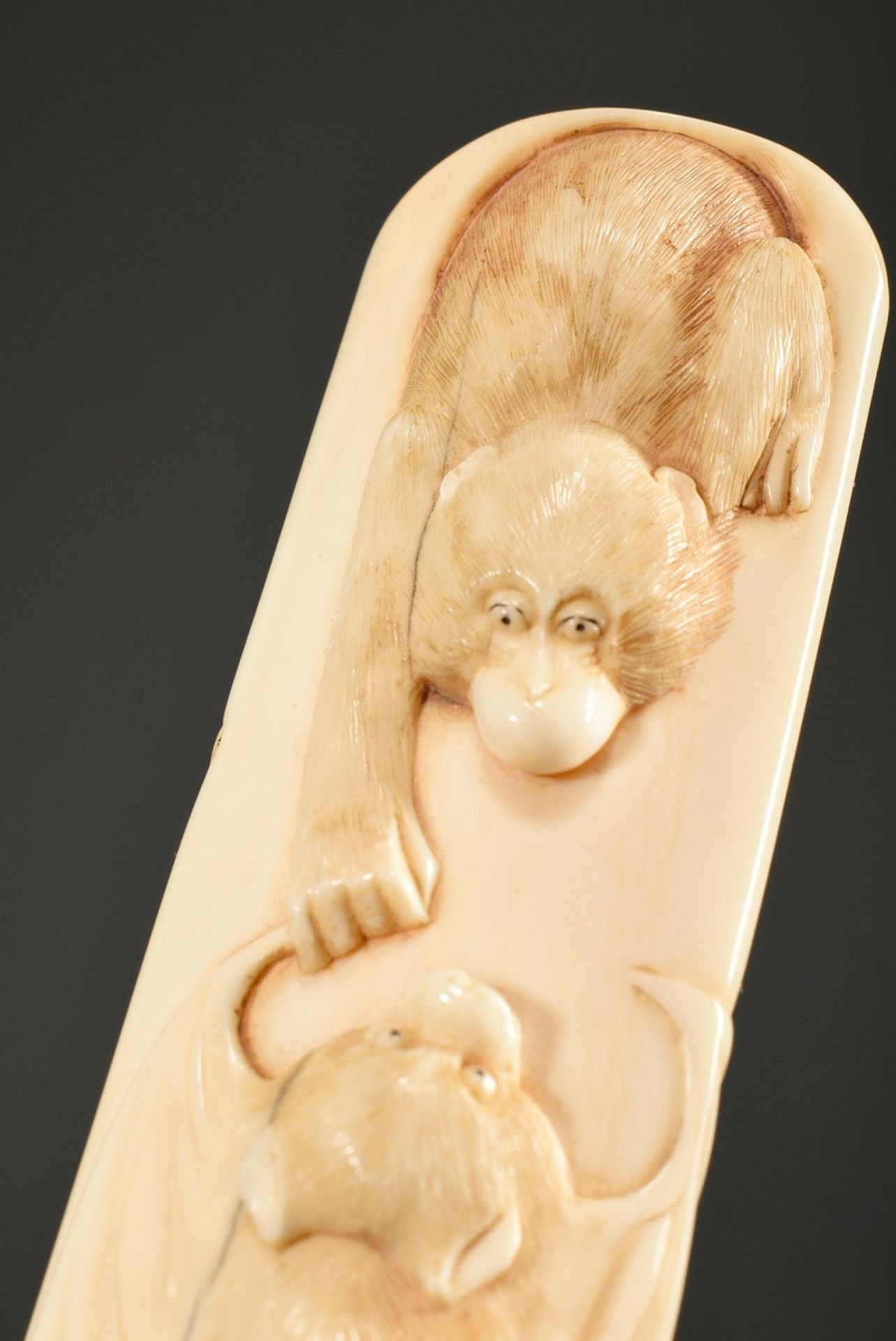 Fine ivory carving with semi-plastic animal depictions ‘monkey, bat and insect’, Japan, Meiji perio - Image 6 of 9