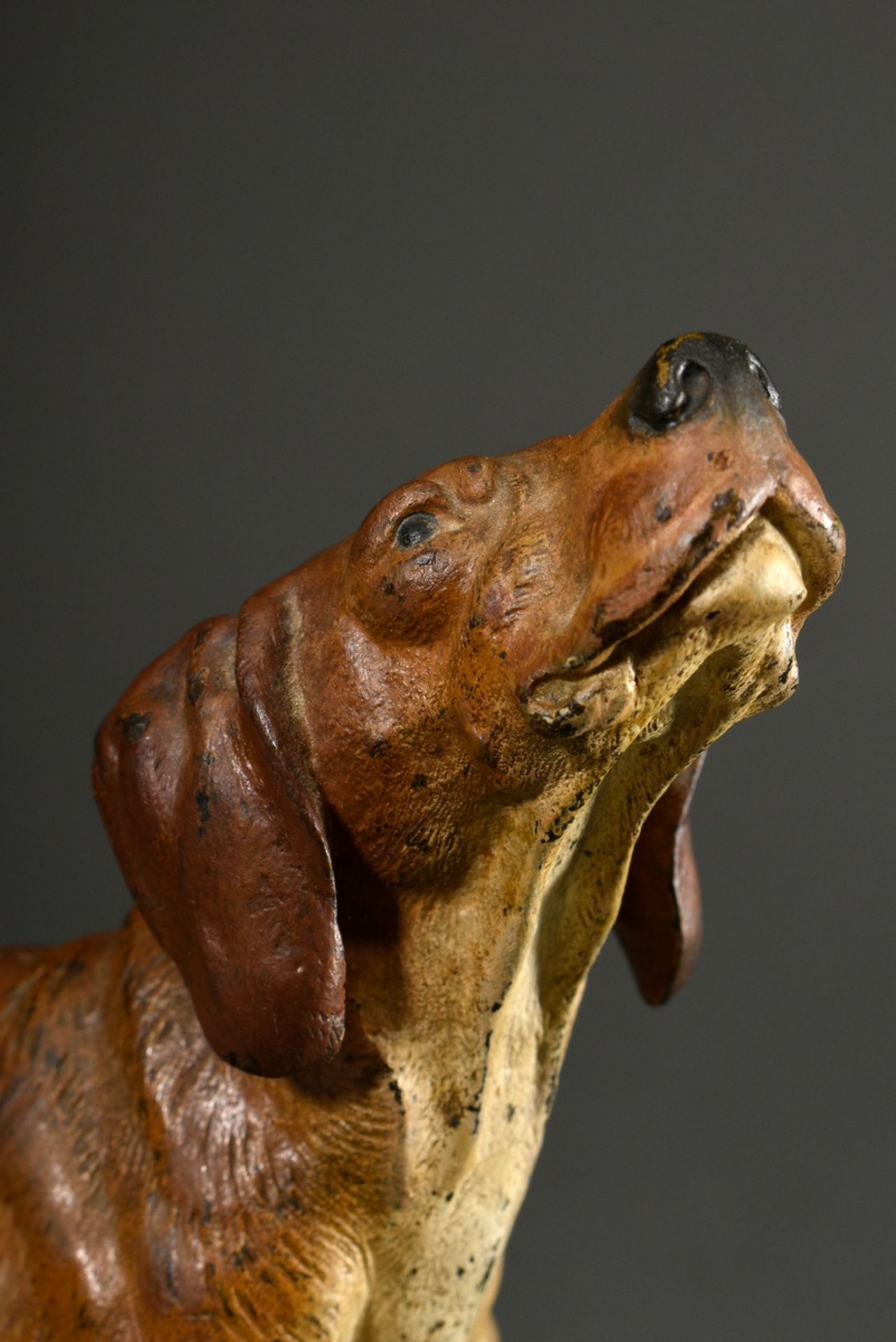 Großer Wiener Bronze Jagdhund "Schweißhund mit eingezogener Rute", um 1900, naturalistisch bemalt,  - Bild 4 aus 5