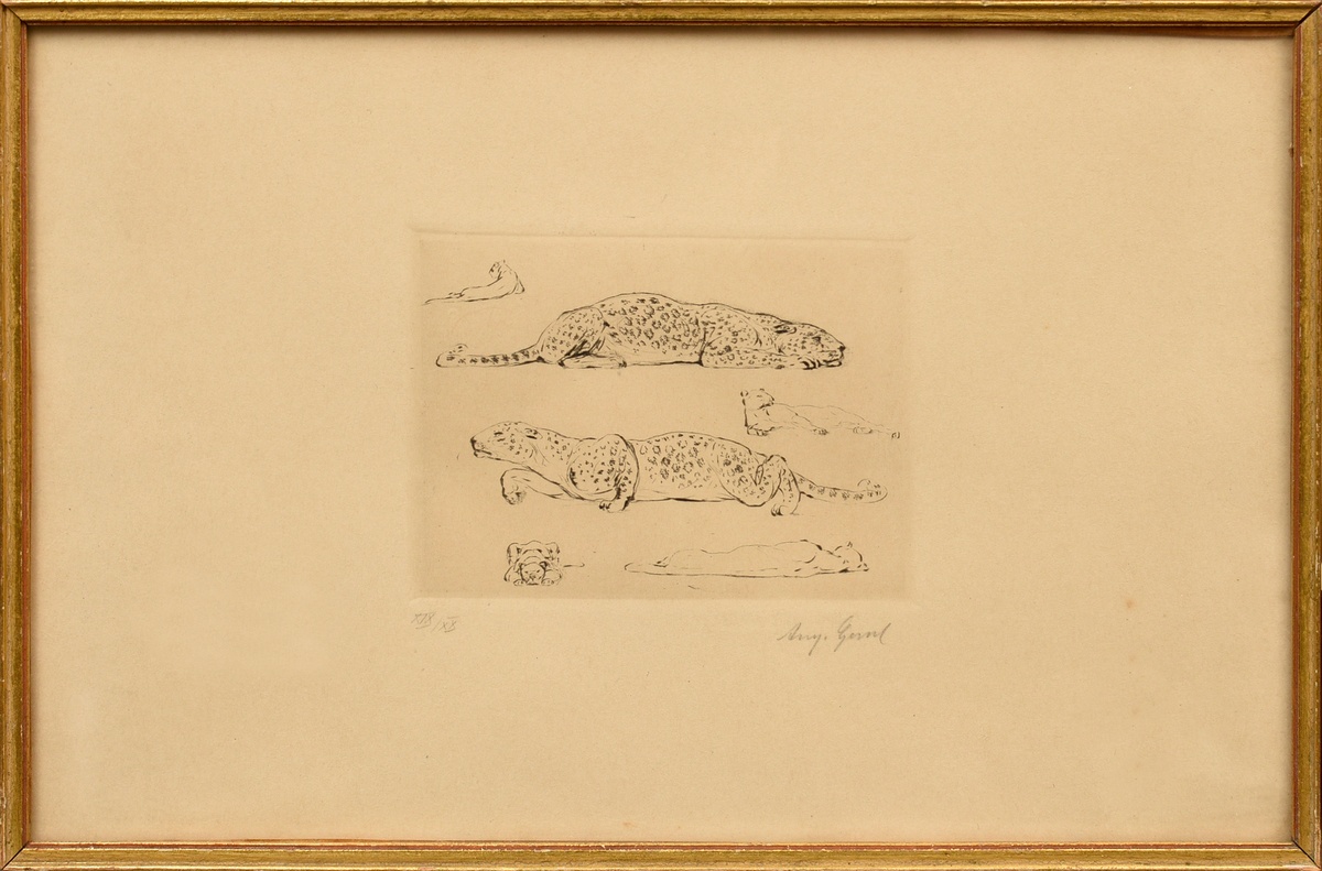 3 Gaul, August (1869-1921): 'Eating Bear' and 'Seagulls on the Beach', lithographs, each sign. b.r. - Image 2 of 12