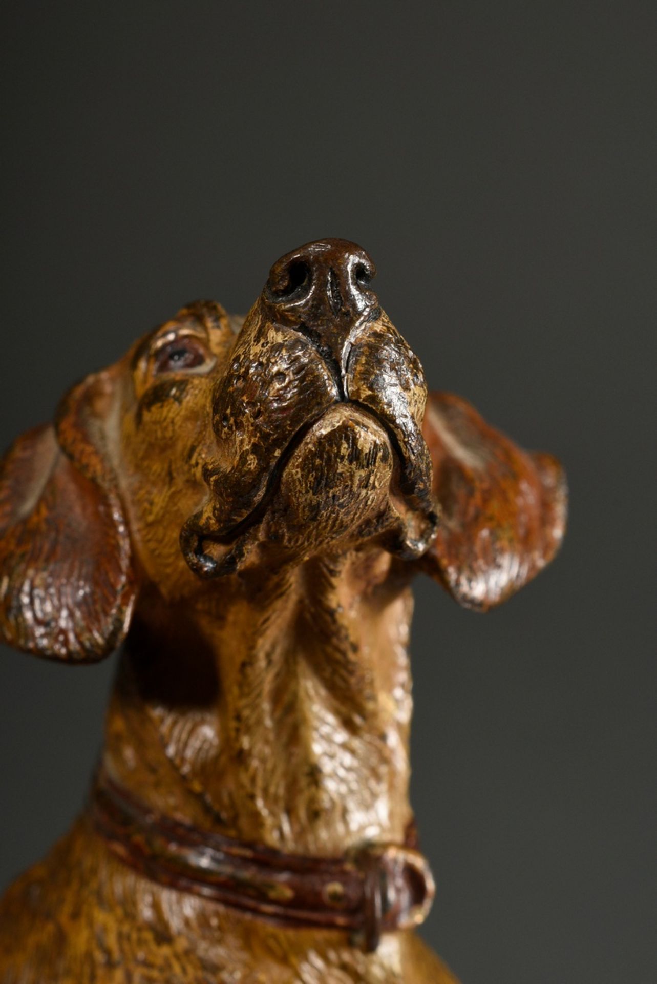 Großer Wiener Bronze Jagdhund "Schweißhund mit Halsband", um 1900, am Bauch bez.: "Geschützt", wohl - Bild 5 aus 8