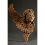 Large angel's head with curved wing carved in bas-relief, unfinished oak, North German 18th century