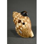 Fine Shibayama netsuke ‘Hora sea snail with seashells’ in ivory with mother-of-pearl and bronze, Hi
