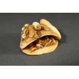 Elfenbein Netsuke "Mann auf Muschel mit beweglichem Taschenkrebs", sign. Ryomin 凌民, Mitte 19.Jh., 2