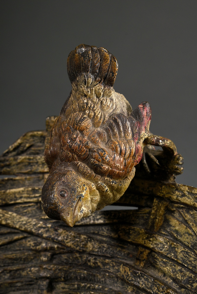 Large Viennese bronze "Wren on a woven basket", colourfully painted, approx. 1890, Ø 20cm, partial  - Image 3 of 6