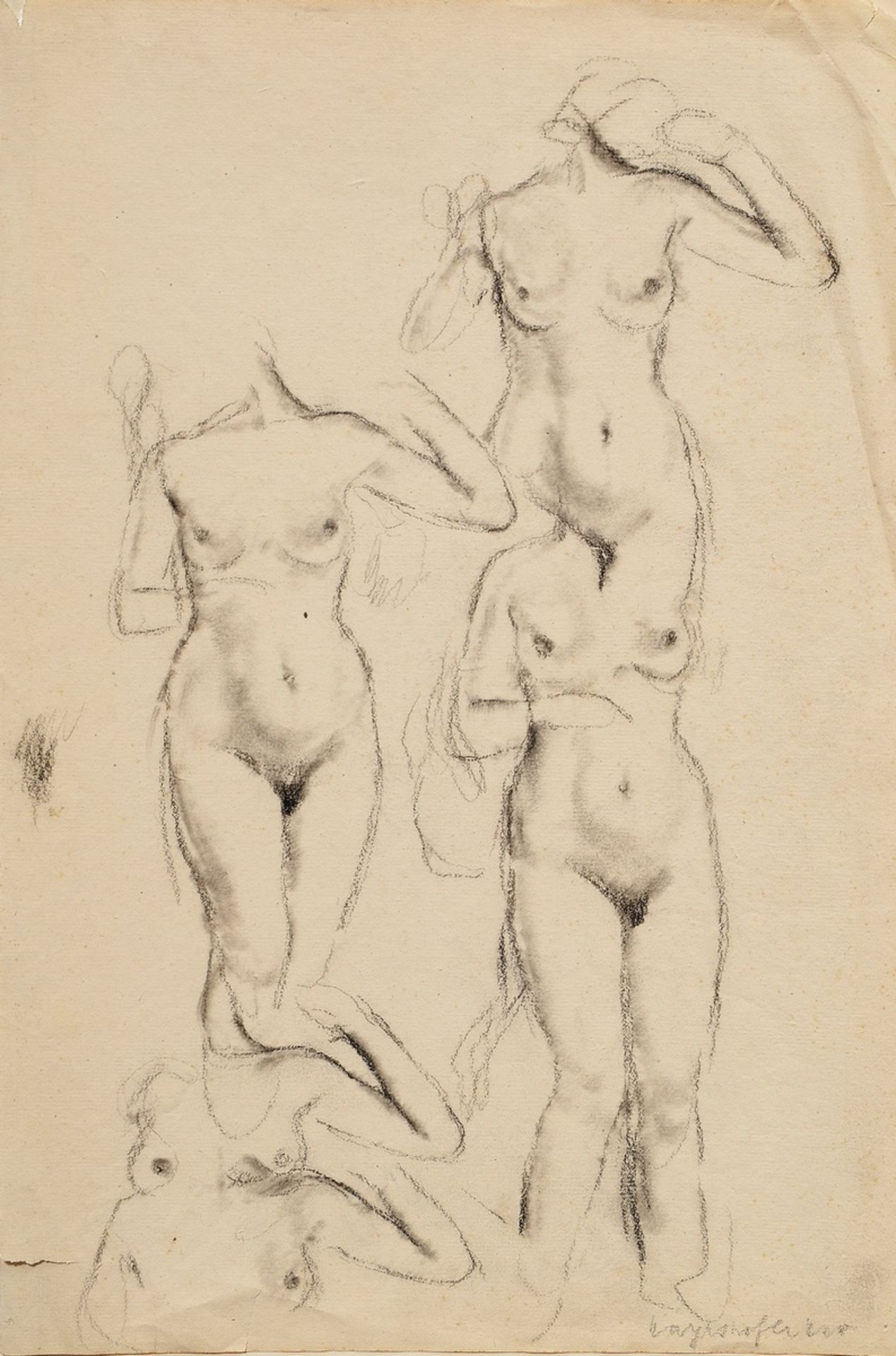 Mayershofer, Max (1875-1950) 'Nude studies', charcoal, sign. b.r., mounted on paper, SM 46x30,7cm (