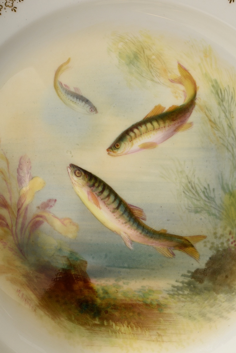 12 Englische Crescent & Sons Fischteller mit verschiedenen lupenfeinen Motiven: "Codfish, 2xTench,  - Bild 5 aus 8