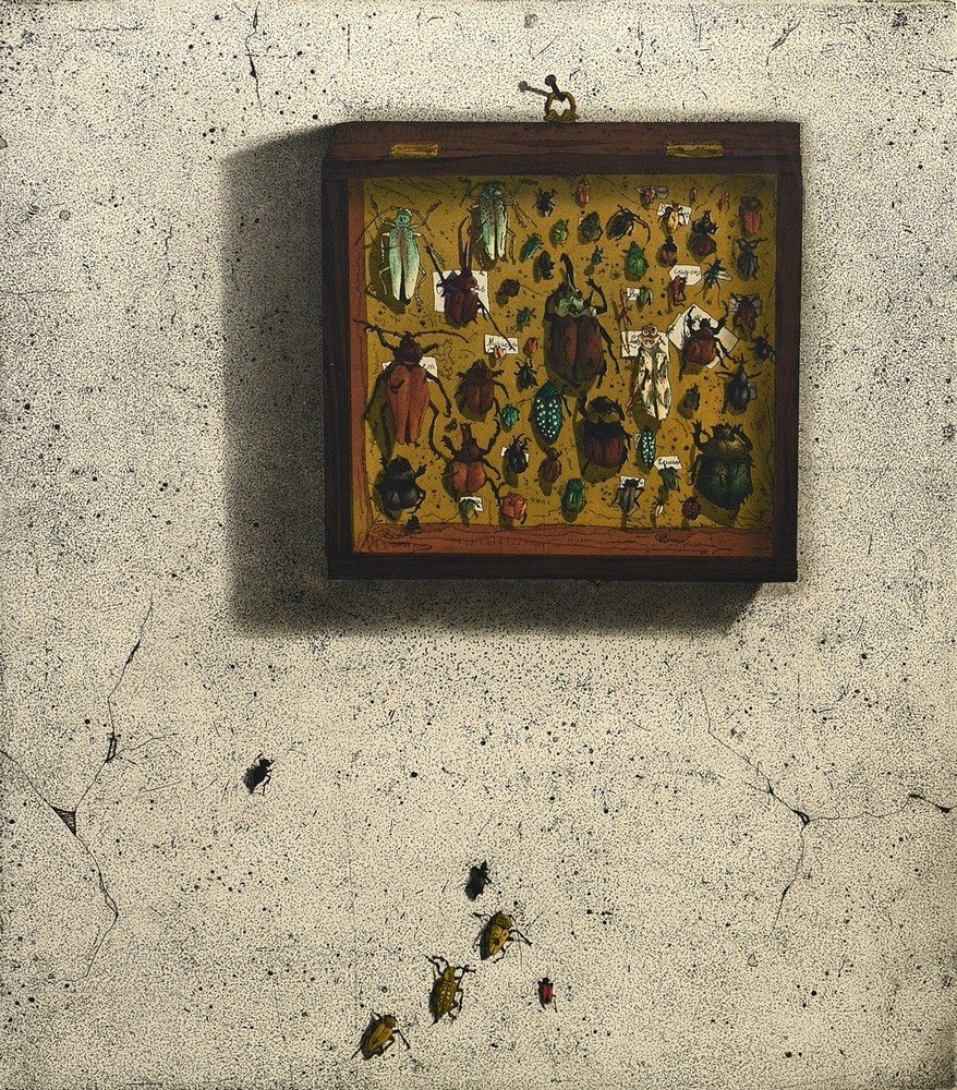 Kressel, Dieter (1925-2015) 'Beetle Box' 1974, etching, 7/100, sign./dat./num./titl. below, Catalog