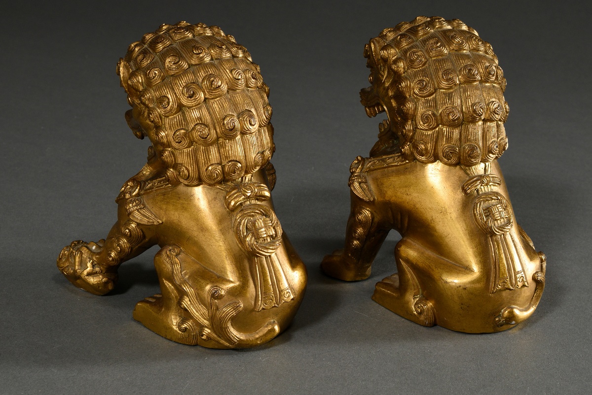 Pair of fire-gilt bronze Fo lions on angular cloisonné pedestals with polychrome borders and graphi - Image 6 of 9