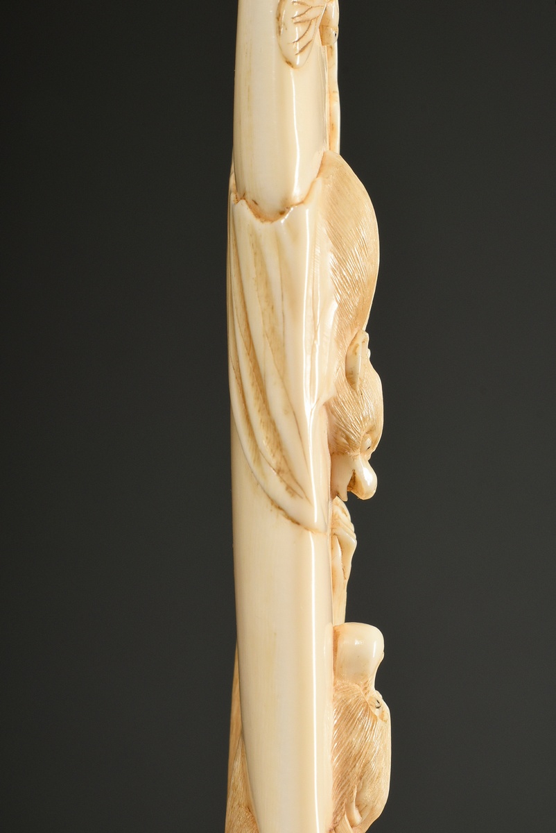 Fine ivory carving with semi-plastic animal depictions ‘monkey, bat and insect’, Japan, Meiji perio - Image 4 of 9