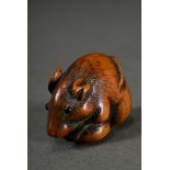 Buchsbaum Netsuke "Ratte mit Kastanie", eingelegte Horn Augen, schöne Patina, Japan, H. 2,9cm, Schw