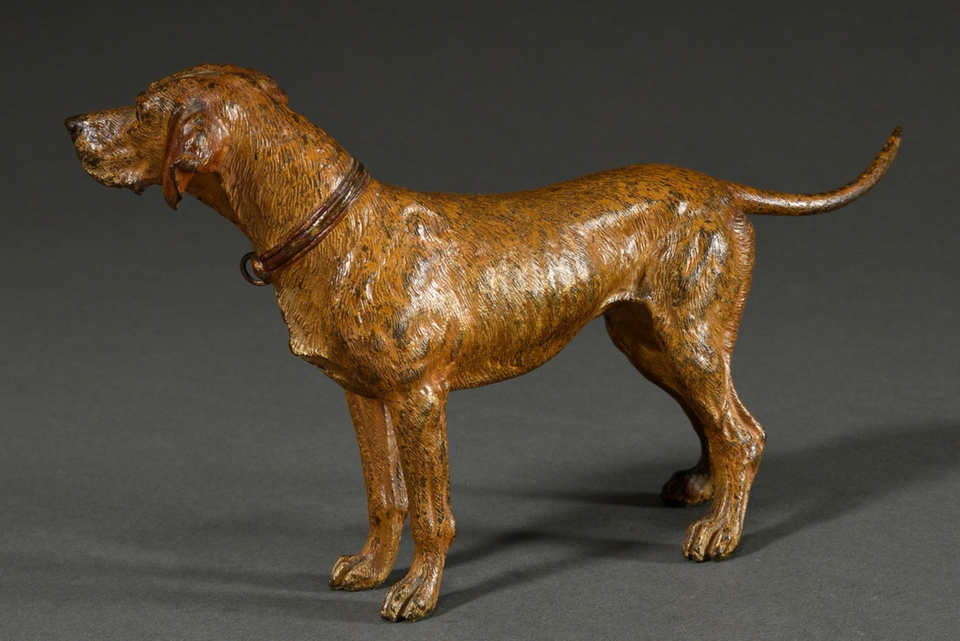 Großer Wiener Bronze Jagdhund "Schweißhund mit Halsband", um 1900, am Bauch bez.: "Geschützt", wohl - Bild 2 aus 8