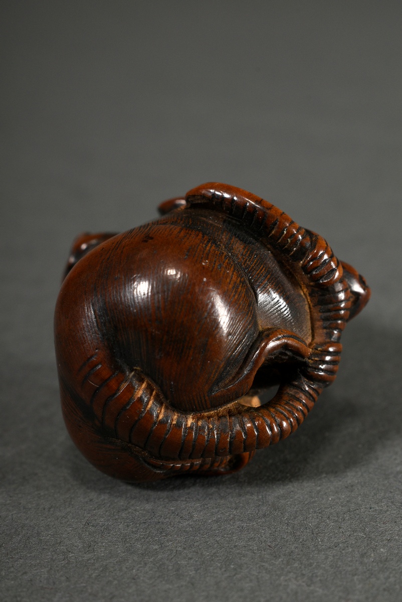 Boxwood netsuke "Round rat with young", inlaid horn eye (1 missing), beautiful patina, Japan 19th c - Image 3 of 4