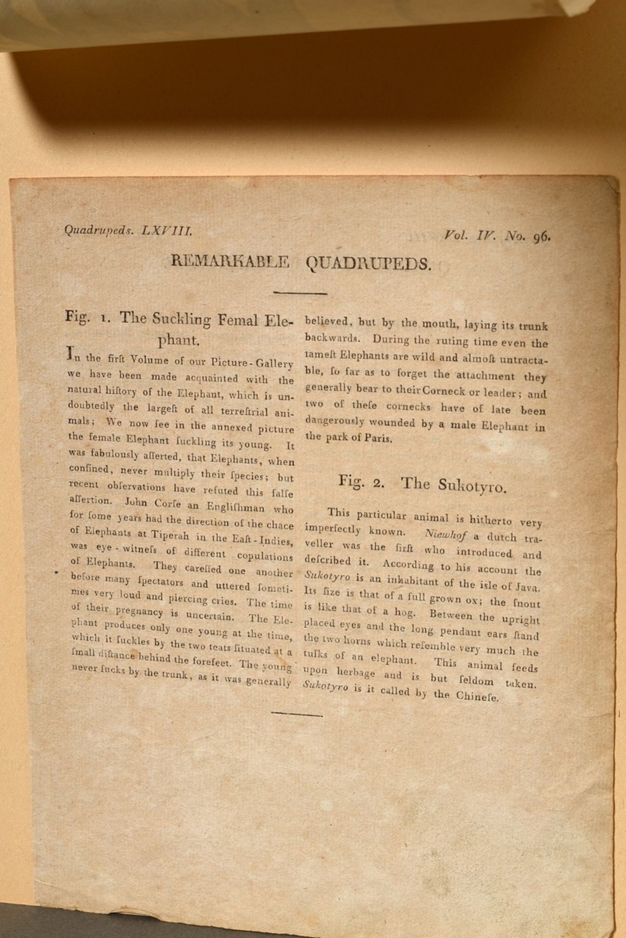 3 Diverse Kupferstiche "Elefanten": 1x aus Mœurs et coutumes des peuples, 1811-1814; 1x nach der Sk - Bild 7 aus 7