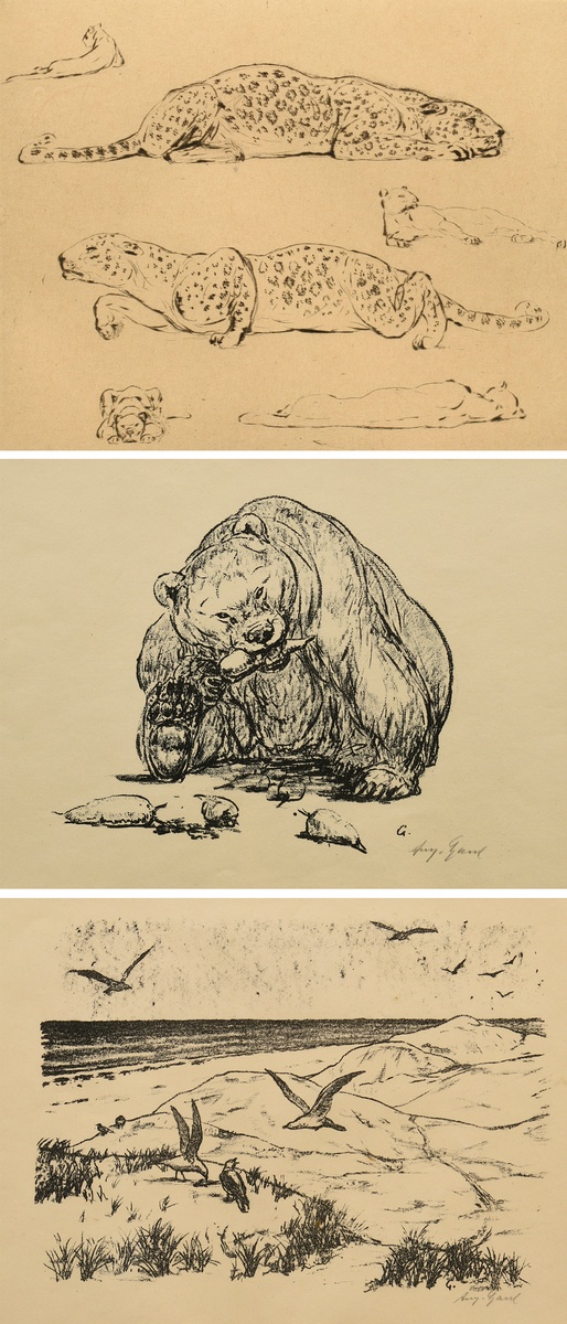 3 Gaul, August (1869-1921): 'Eating Bear' and 'Seagulls on the Beach', lithographs, each sign. b.r.