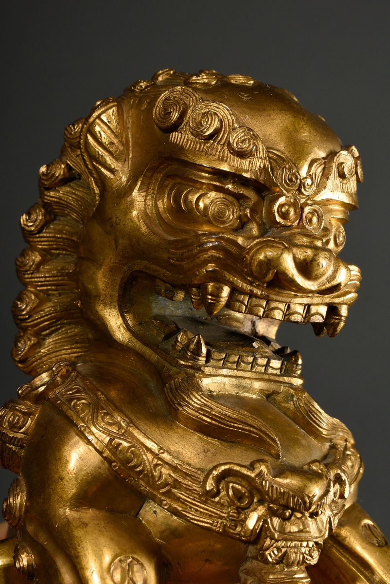 Pair of fire-gilt bronze Fo lions on angular cloisonné pedestals with polychrome borders and graphi - Image 8 of 9