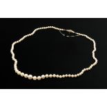 Gradient cultured pearl necklace with yellow gold 585 clasp, 17.7g, l. 58cm, Ø 3.4-8.2mm