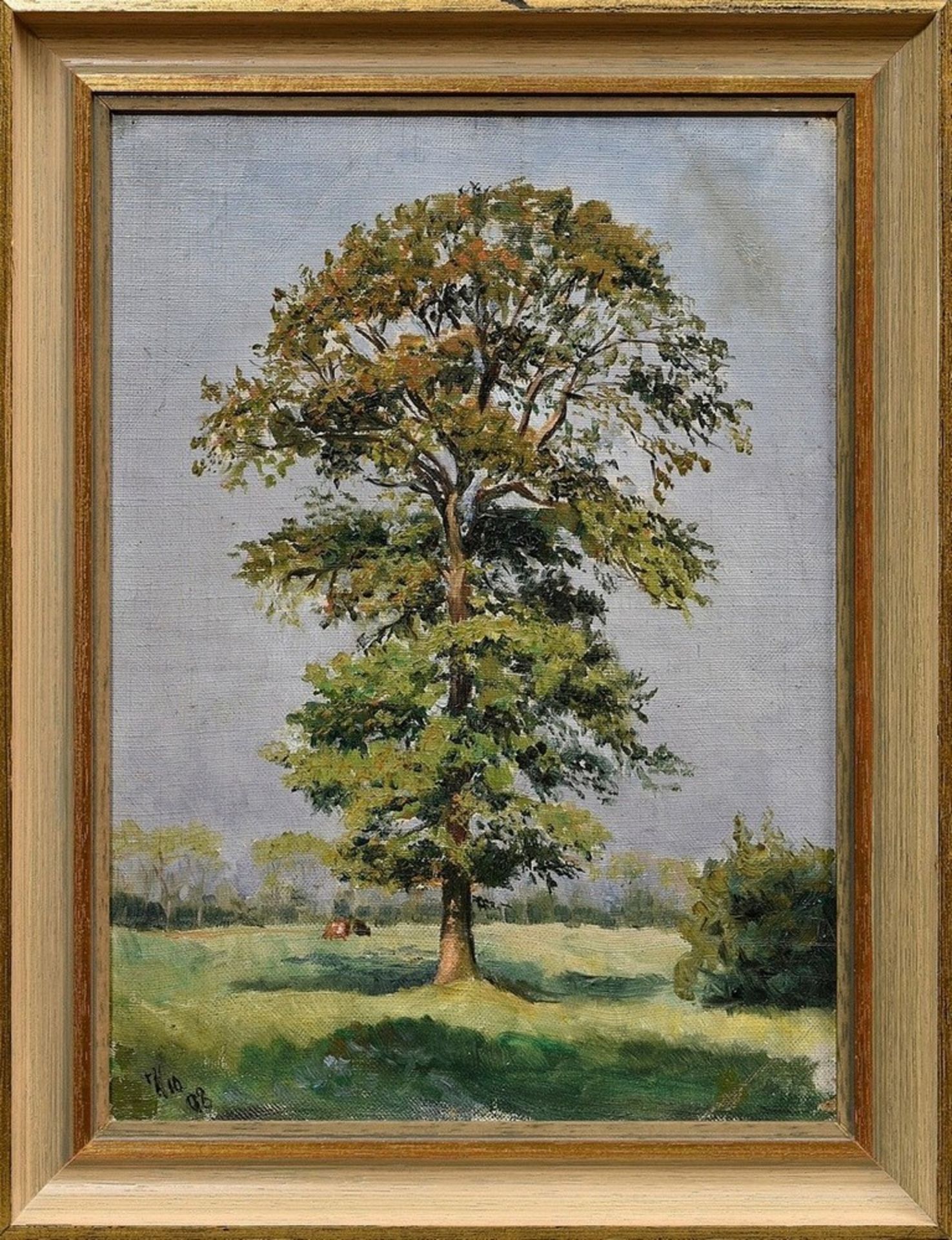 Reuss-Löwenstein, Harry (1880-1966) "Solitary Tree" 1908, oil/canvas mounted on wood, dat./inscr. l - Image 2 of 5