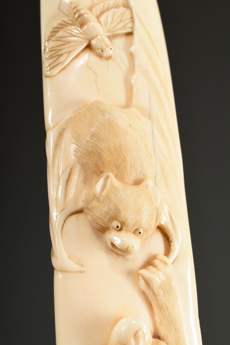 Feine Elfenbein Schnitzerei mit halbplastischen Tierdarstellungen "Affe, Fledermaus und Insekt", Ja - Bild 8 aus 9