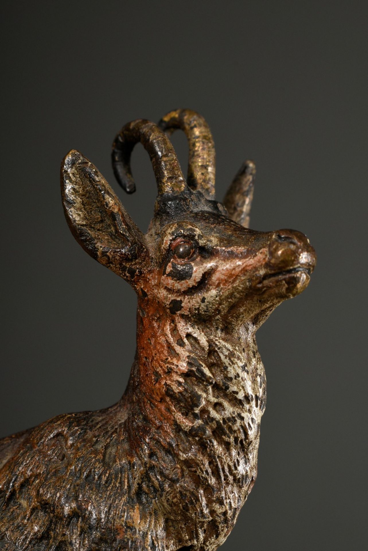 Viennese bronze "Gamsbock", approx. 1900, naturalistically painted, unsigned, 9.3x8.5cm, Provenance - Image 3 of 4