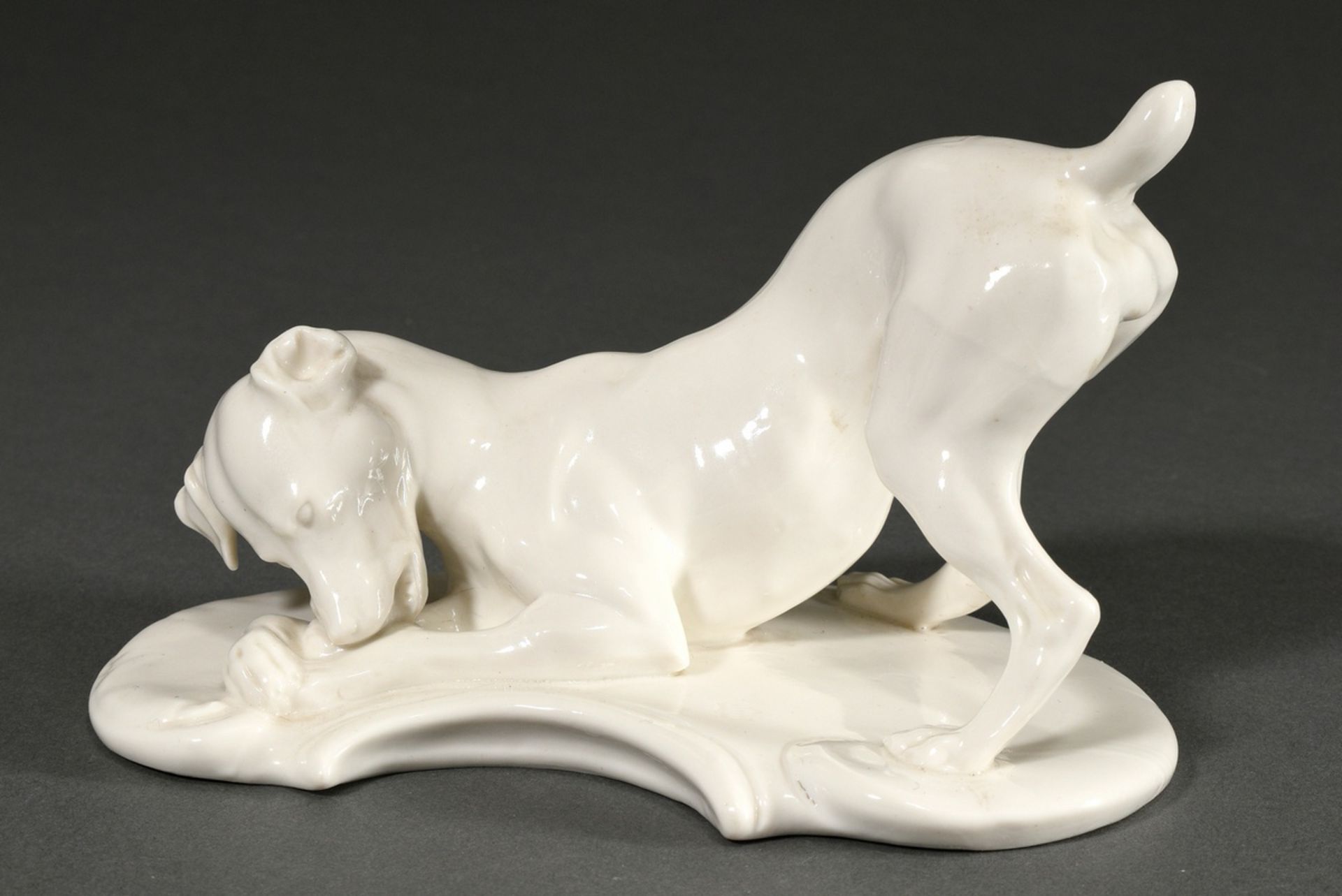 Nymphenburg figurine "Young Fox Terrier" 1913, designed by Theodor Kärner, 10x15.5x9.5cm