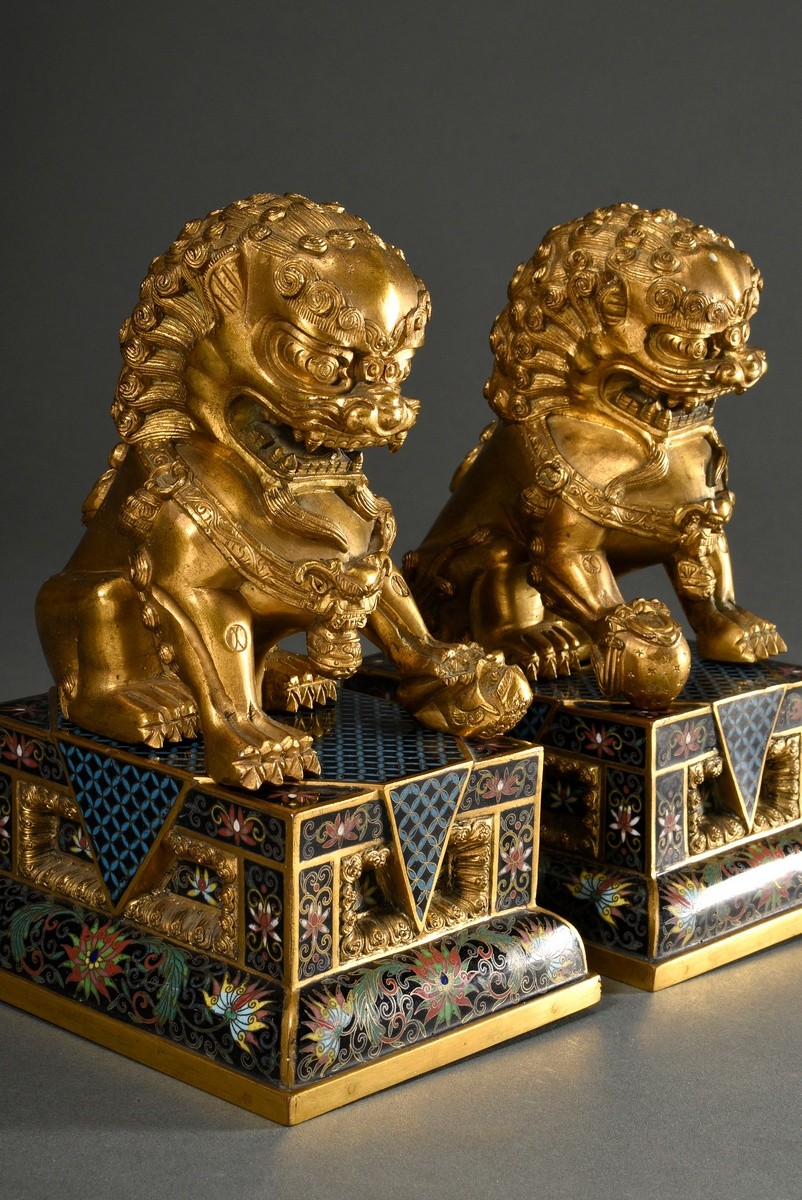 Paar feuervergoldete Bronze Fo Löwen auf eckigen Cloisonné Postamenten mit polychromen Borten und g