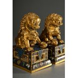 Pair of fire-gilt bronze Fo lions on angular cloisonné pedestals with polychrome borders and graphi