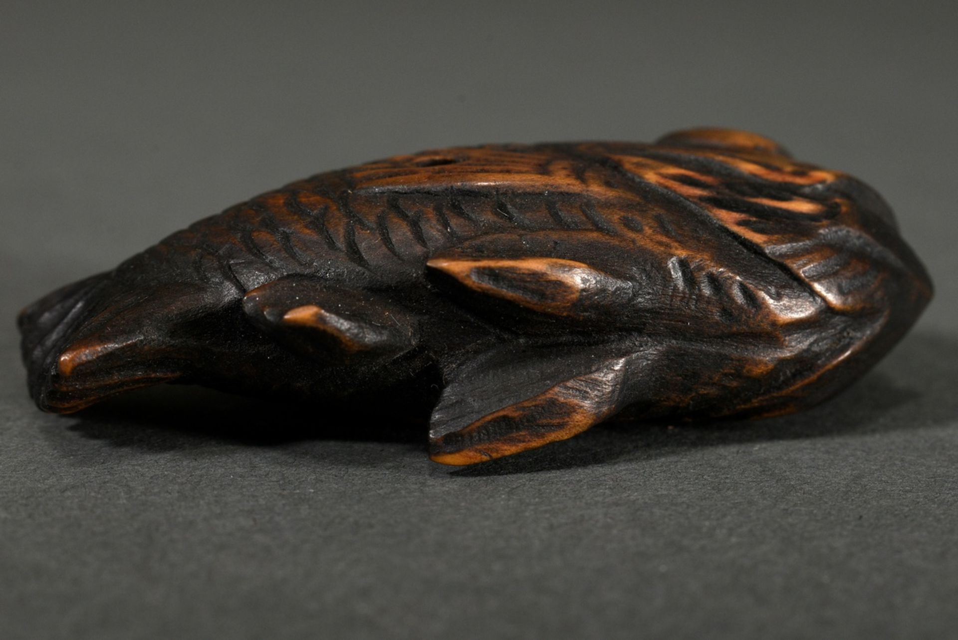 Boxwood netsuke "Akodai fish" in powerful carving, sign. Mitsuyuki 光之, Japan 2nd half 19th century, - Image 5 of 5