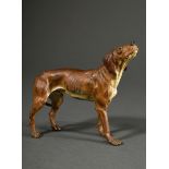 Großer Wiener Bronze Jagdhund "Schweißhund mit eingezogener Rute", um 1900, naturalistisch bemalt, 