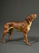 Großer Wiener Bronze Jagdhund "Schweißhund mit eingezogener Rute", um 1900, naturalistisch bemalt,