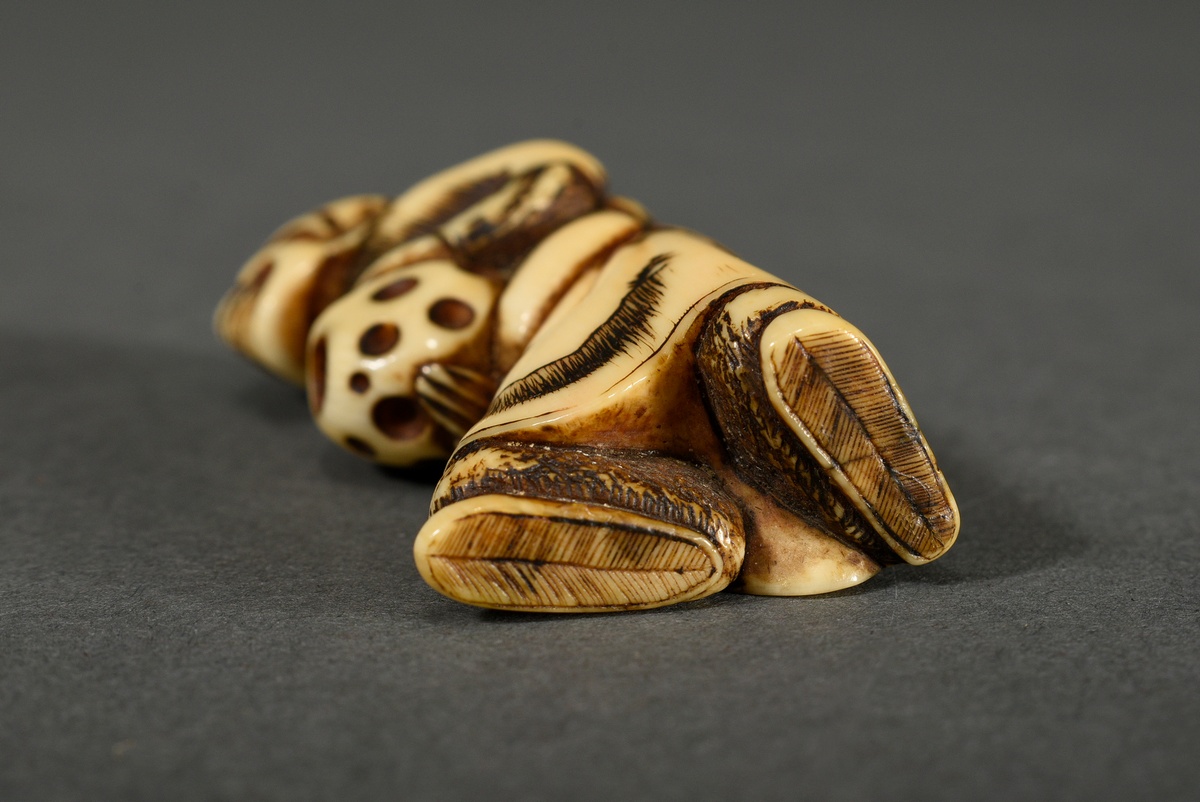 Elfenbein Netsuke "Stehender Mann mit Wunderkugel", um 1900, schöne Patina, H. 5,5cm, Riss, Genehmi - Bild 4 aus 5