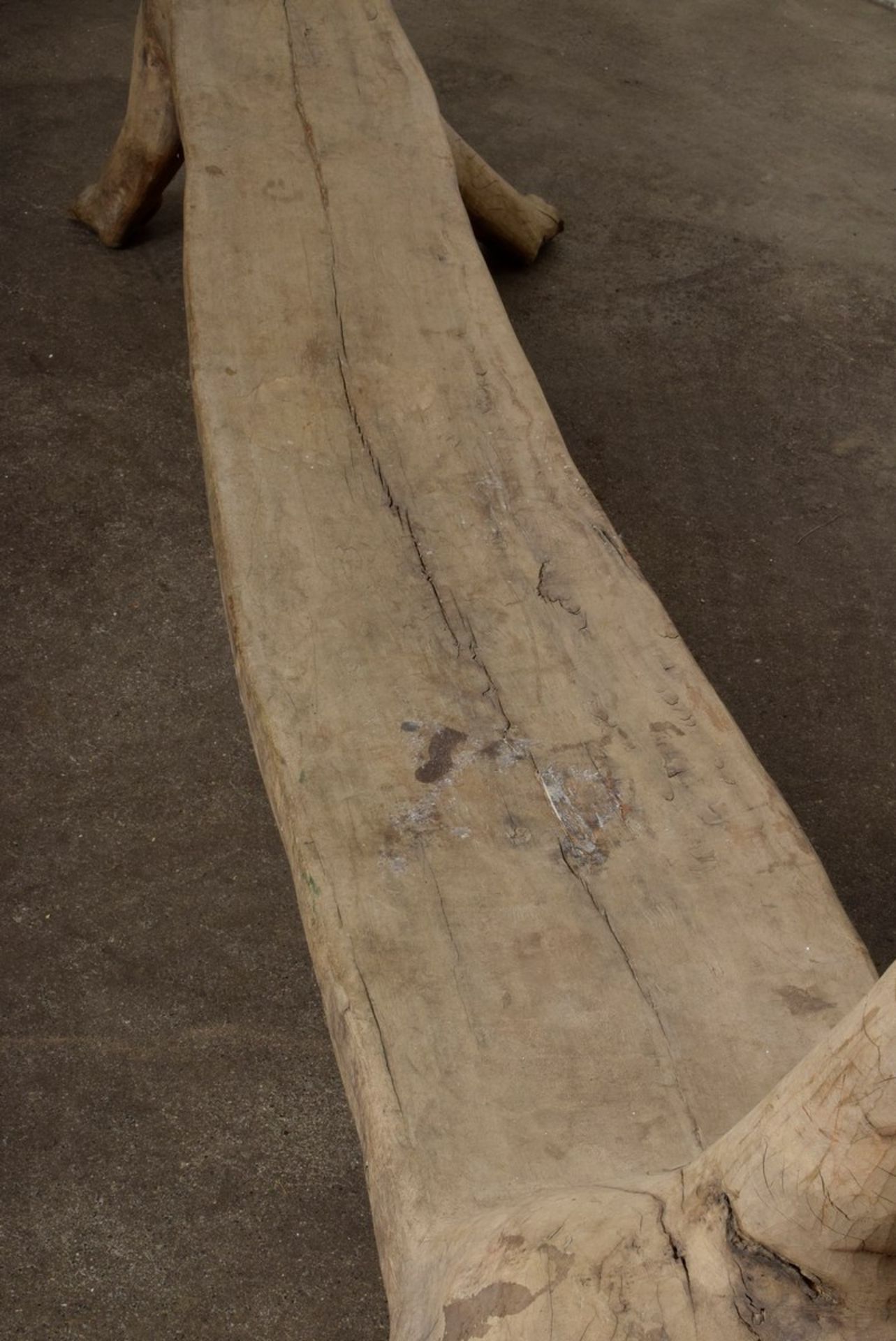 Sehr große Häuptlings-Sitzbank in Form eines Hundes, aus einem Stamm geschnitzt, Indonesien Anfang  - Bild 8 aus 16