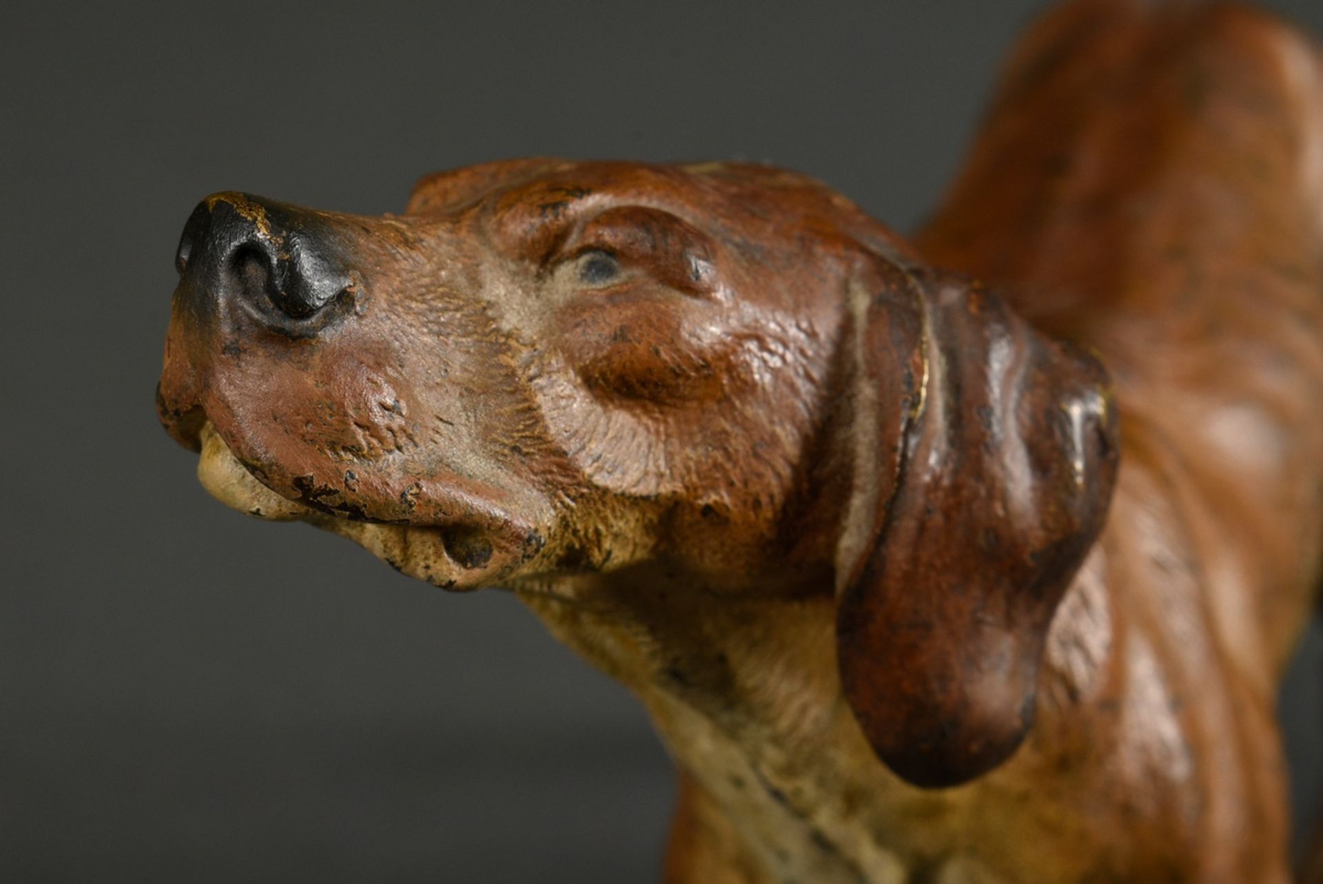 Großer Wiener Bronze Jagdhund "Schweißhund mit eingezogener Rute", um 1900, naturalistisch bemalt,  - Bild 3 aus 5