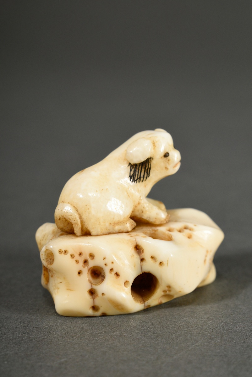 2 Various pieces of stag horn netsuke and animal tooth ojime: ‘Puppy on holey rock’ with inlaid hor - Image 3 of 10