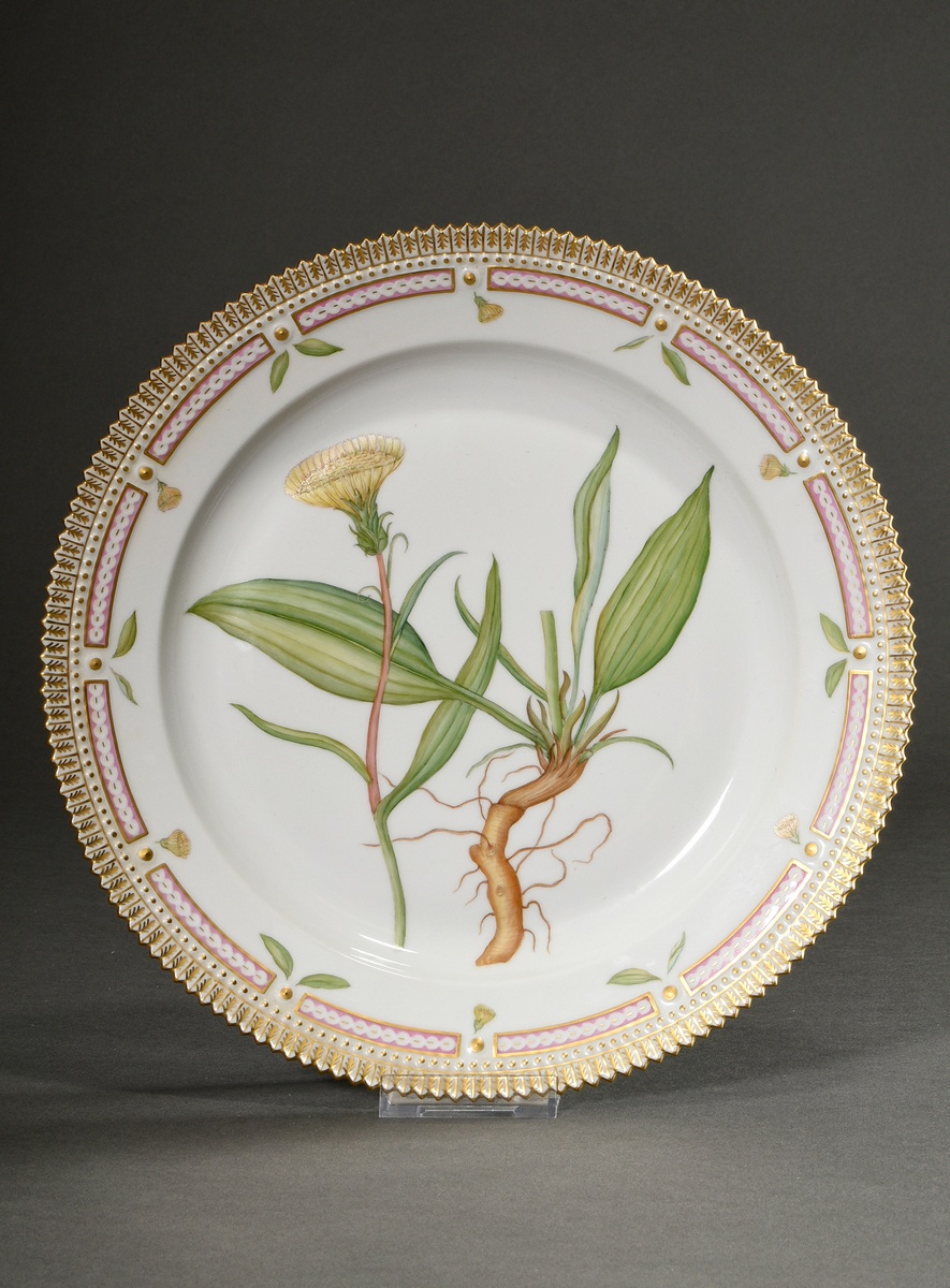 Large Royal Copenhagen "Flora Danica" plate with polychrome painting in the mirror, gold staffage a
