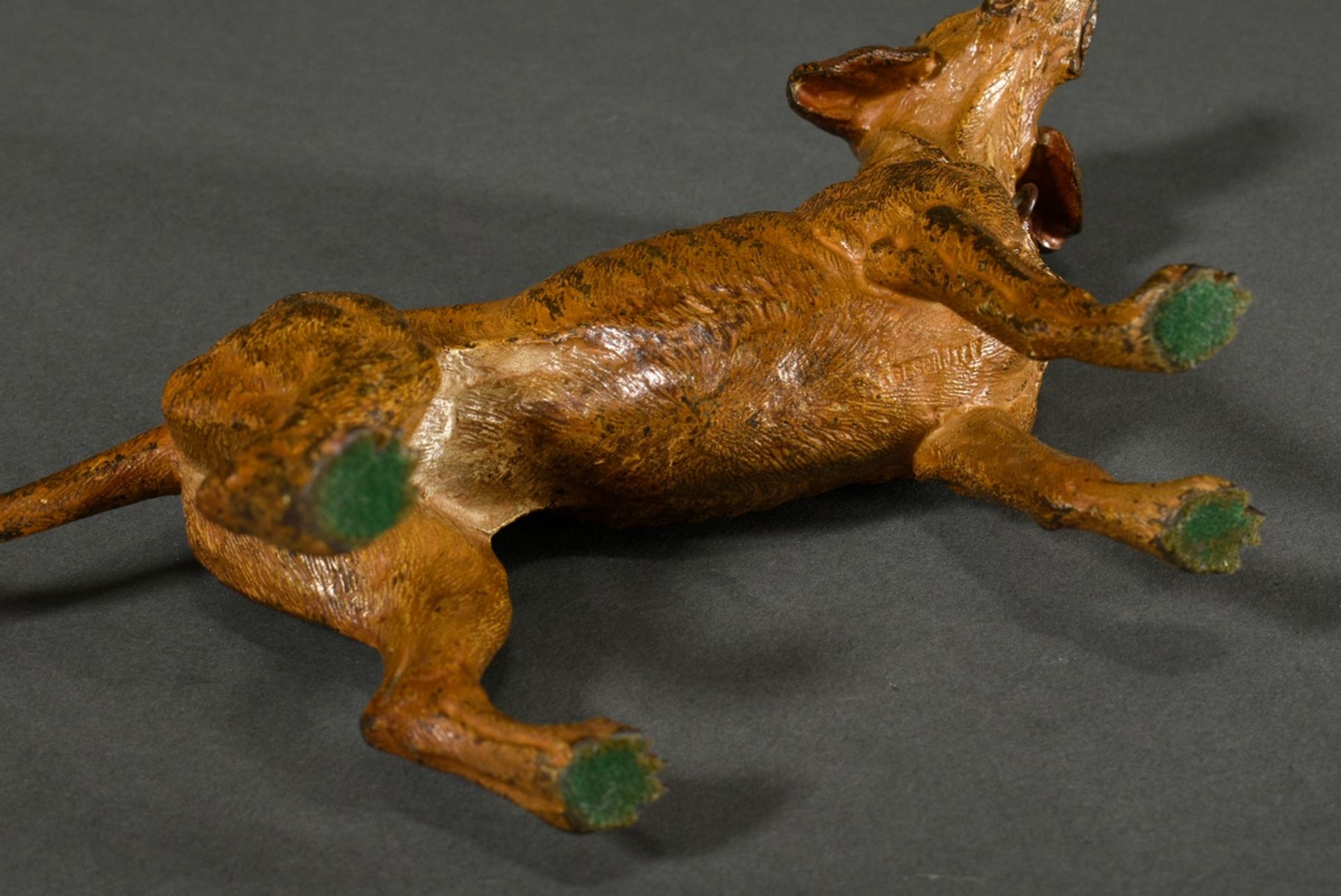 Großer Wiener Bronze Jagdhund "Schweißhund mit Halsband", um 1900, am Bauch bez.: "Geschützt", wohl - Bild 6 aus 8