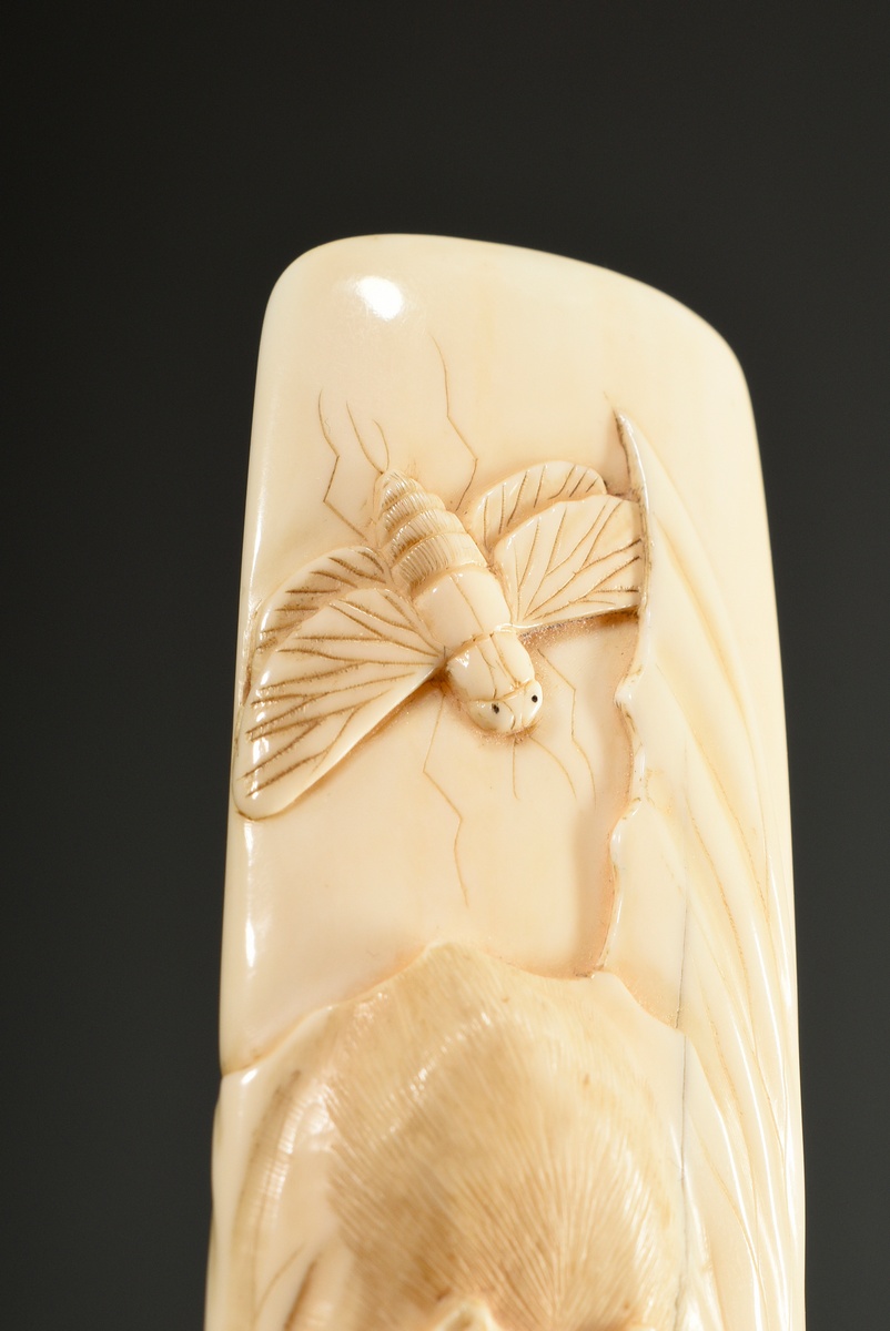 Fine ivory carving with semi-plastic animal depictions ‘monkey, bat and insect’, Japan, Meiji perio - Image 7 of 9