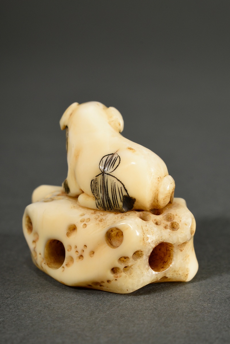 2 Various pieces of stag horn netsuke and animal tooth ojime: ‘Puppy on holey rock’ with inlaid hor - Image 4 of 10