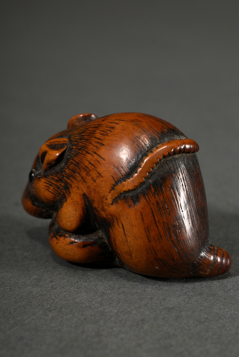 Buchsbaum Netsuke "Ratte mit Kastanie", eingelegte Horn Augen, schöne Patina, Japan, H. 2,9cm, Schw - Bild 5 aus 6