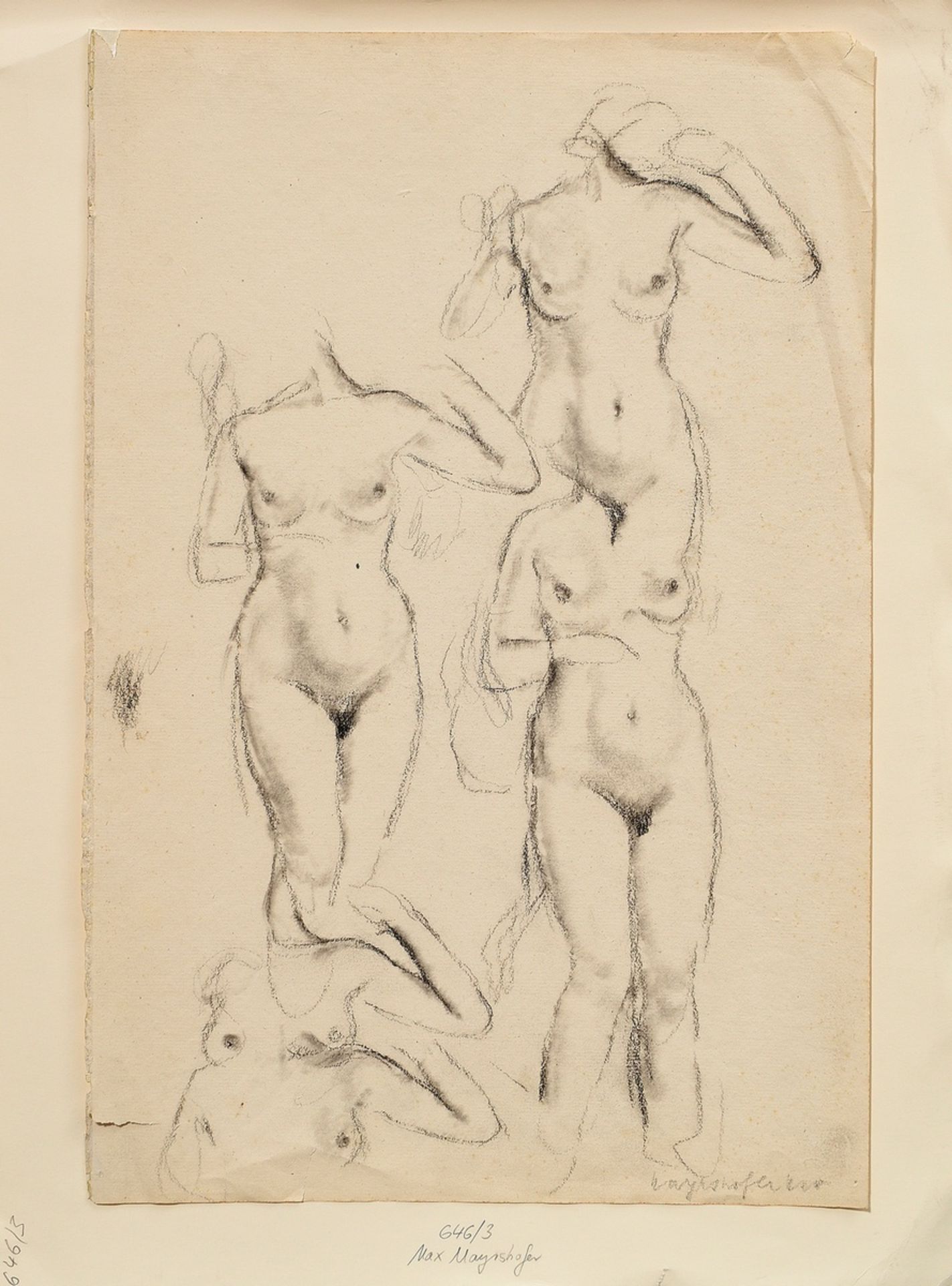 Mayershofer, Max (1875-1950) 'Nude studies', charcoal, sign. b.r., mounted on paper, SM 46x30,7cm ( - Image 2 of 3