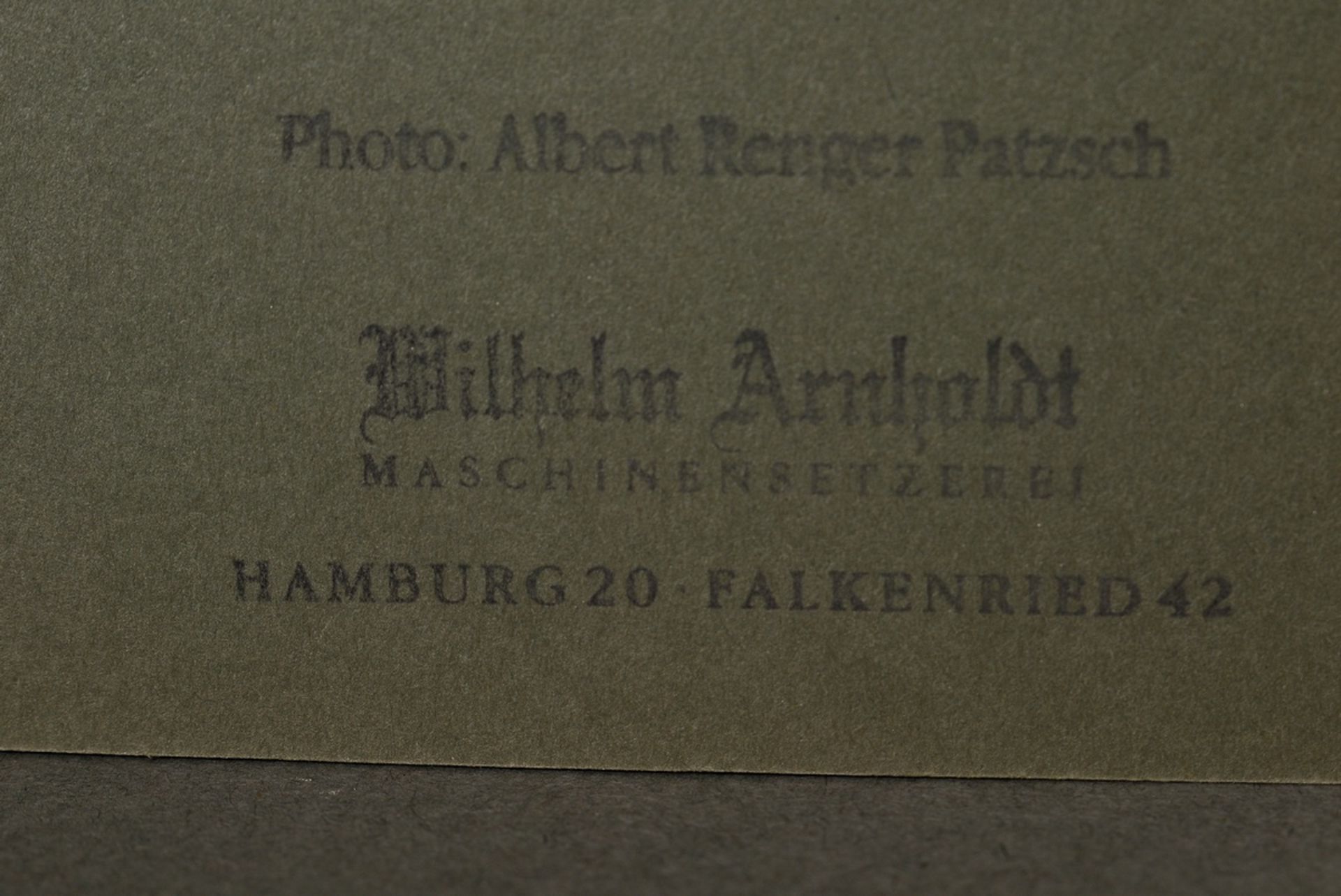 Renger-Patzsch, Albert (1897-1966) "Pflanzenstudie" (wohl Bischofsmütze), Fotografie auf Pappe mont - Bild 3 aus 3