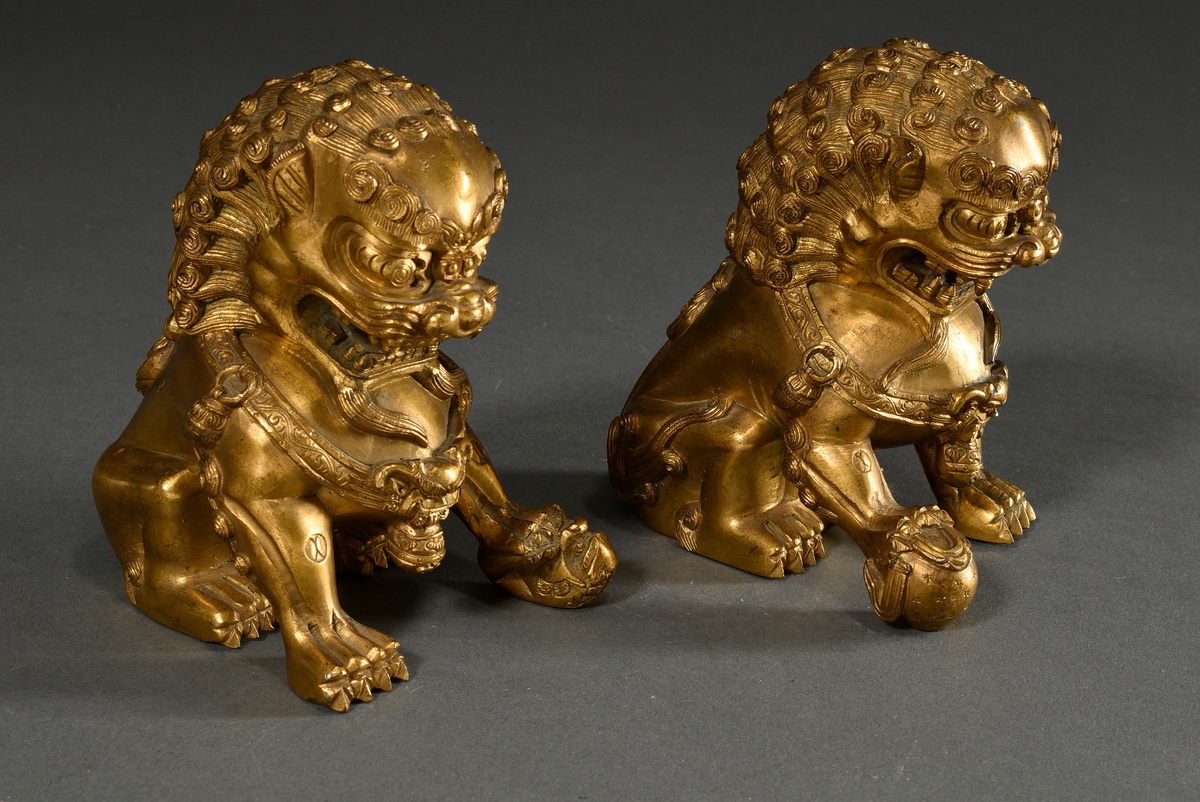 Pair of fire-gilt bronze Fo lions on angular cloisonné pedestals with polychrome borders and graphi - Image 5 of 9