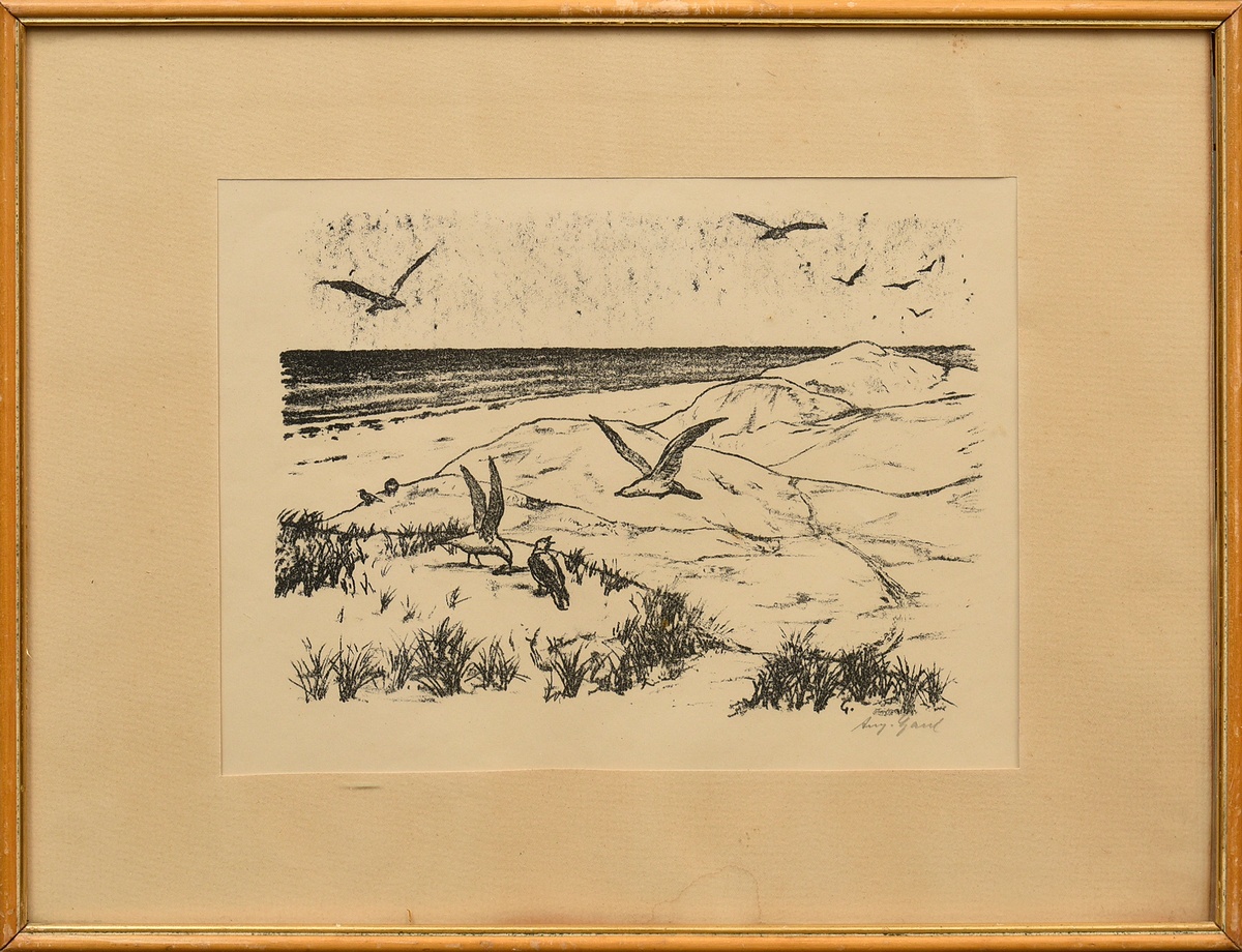 3 Gaul, August (1869-1921): 'Eating Bear' and 'Seagulls on the Beach', lithographs, each sign. b.r. - Image 7 of 12