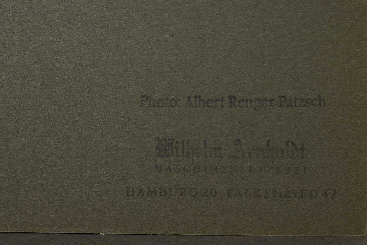 Renger-Patzsch, Albert (1897-1966) 'Plant study', photograph mounted on cardboard, verso stamped, 1 - Image 3 of 3
