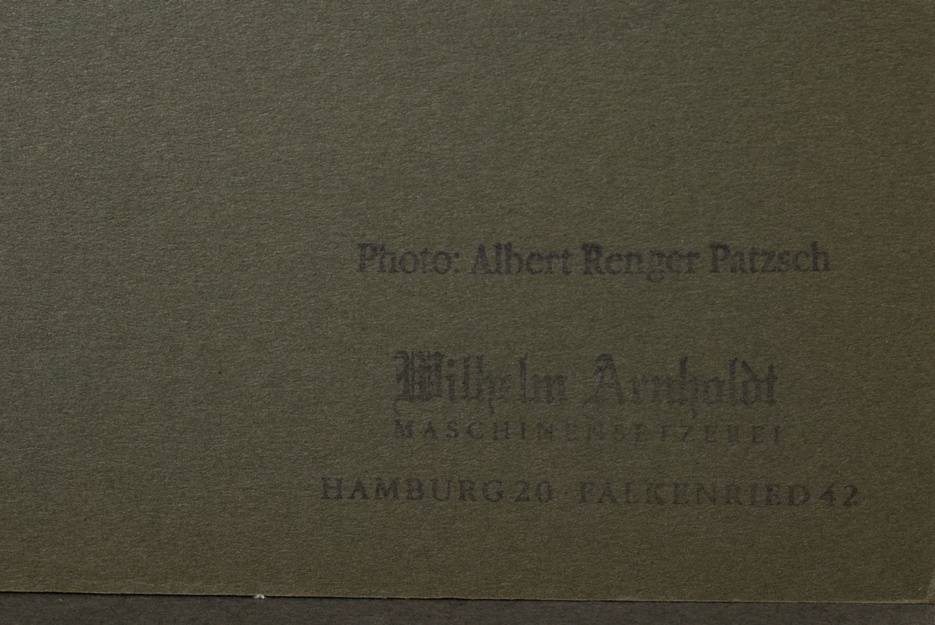 Renger-Patzsch, Albert (1897-1966) "Pflanzenstudie" (wohl Wiesen-Kuhschelle), Fotografie auf Pappe  - Bild 3 aus 3