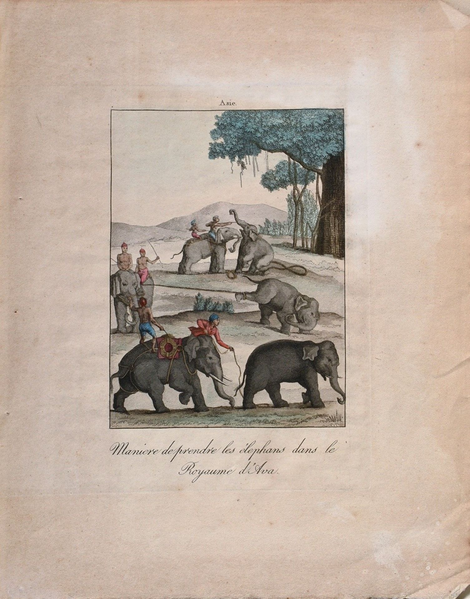 3 Diverse Kupferstiche "Elefanten": 1x aus Mœurs et coutumes des peuples, 1811-1814; 1x nach der Sk - Bild 2 aus 7