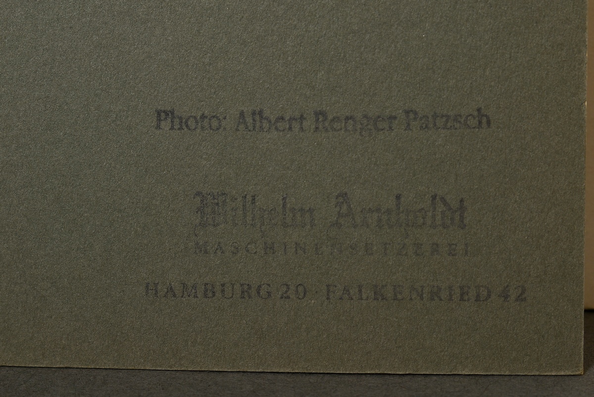Renger-Patzsch, Albert (1897-1966) 'Plant study' (horsetail), photograph mounted on cardboard, vers - Image 3 of 3