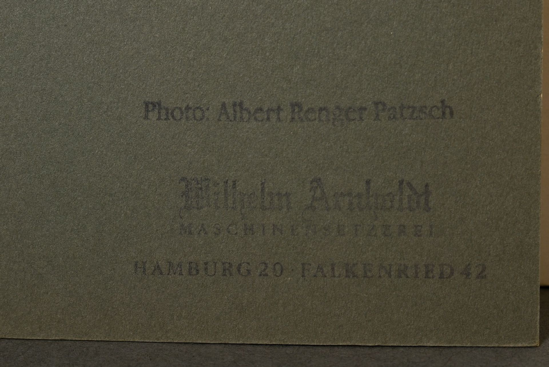 Renger-Patzsch, Albert (1897-1966) "Pflanzenstudie" (Schachtelhalm), Fotografie auf Pappe montiert, - Bild 3 aus 3