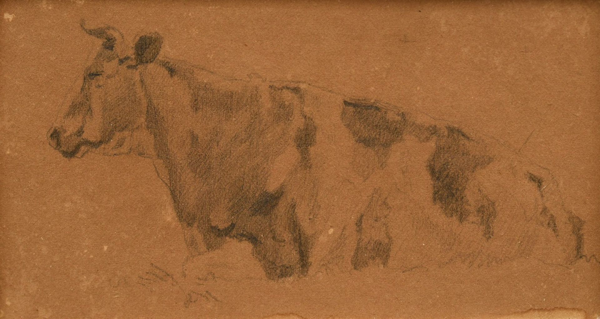 Herbst, Thomas (1848-1915) "Liegende Kuh", Bleistift, Papier auf Pappe kaschiert, 8,5x14,4cm (m.R.  - Bild 2 aus 4