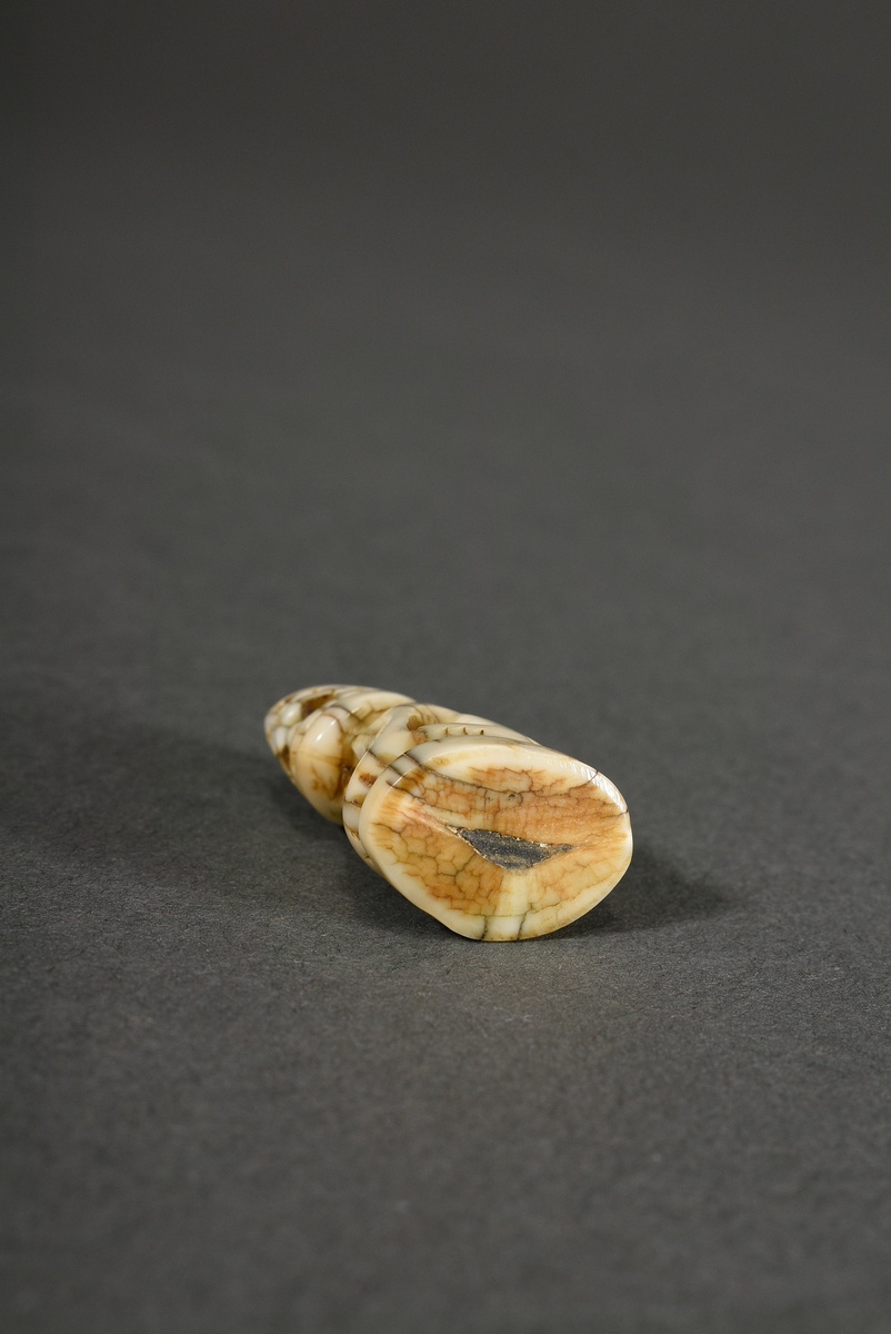 2 Various pieces of stag horn netsuke and animal tooth ojime: ‘Puppy on holey rock’ with inlaid hor - Image 10 of 10